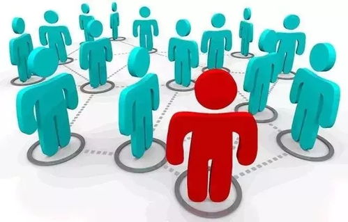 構(gòu)建堅實的品牌基石 一份完整品牌策劃方案的核心內(nèi)容與品牌管理要義